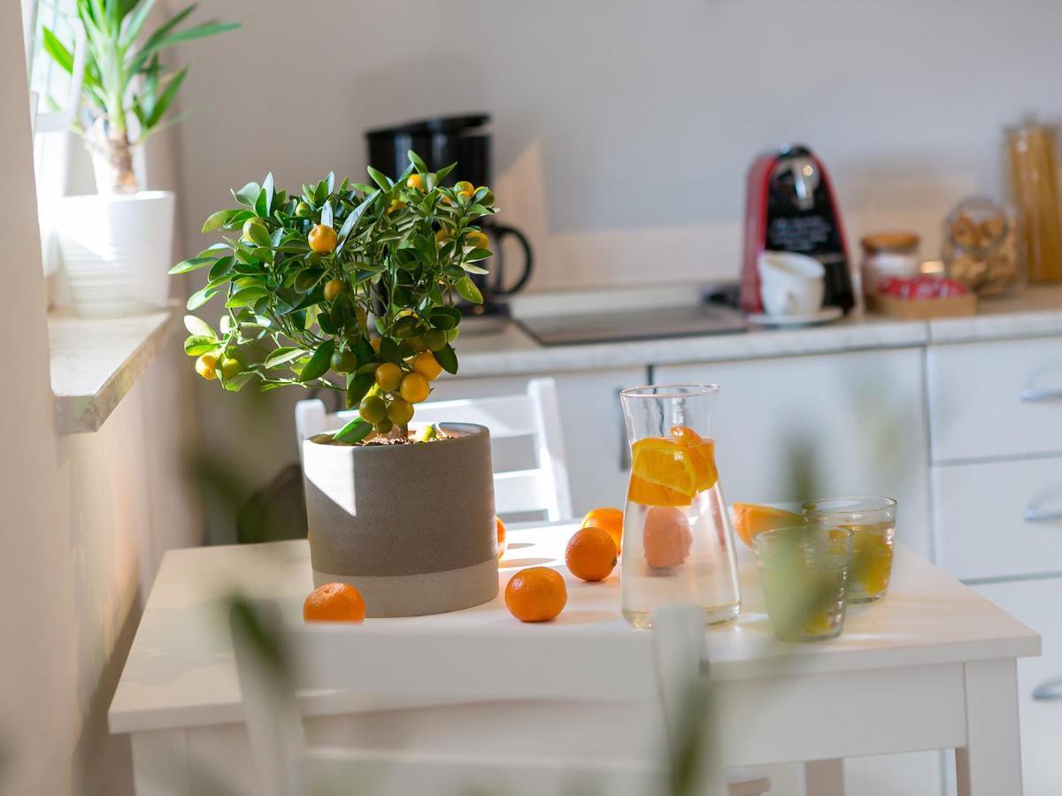 Dream Istria Holiday Porec Esterno foto